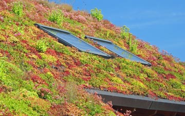 Addinston living roof systems